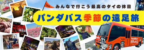 遠足_日にち限定ツアー