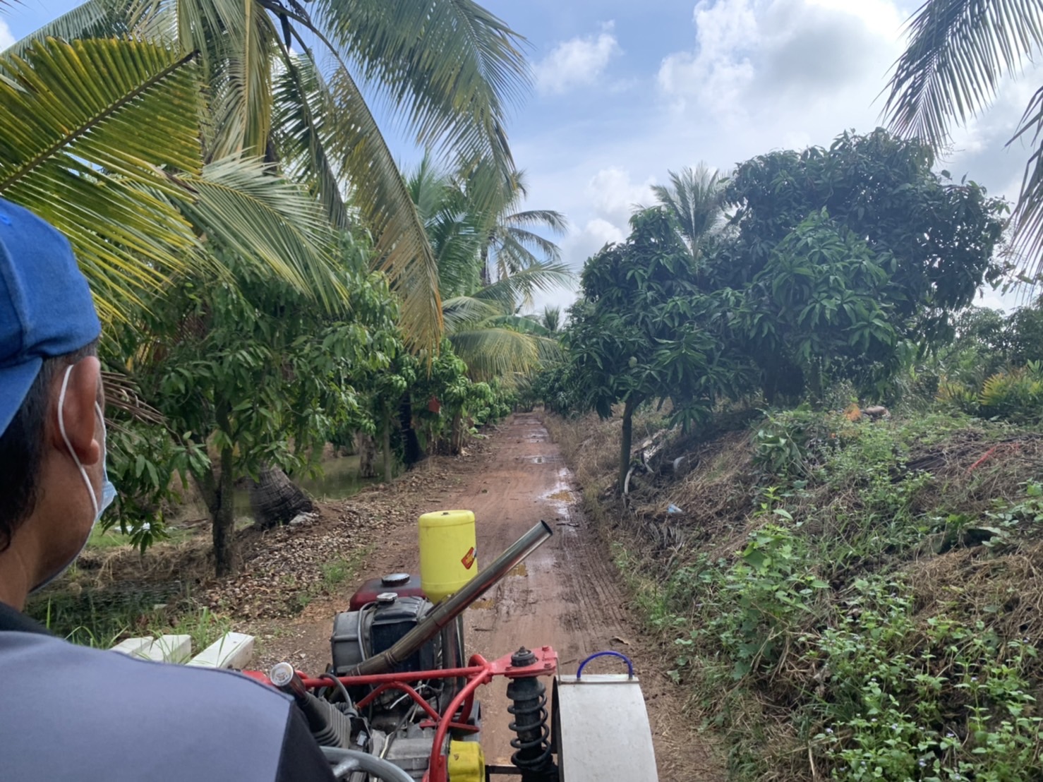 トラクターに乗車！ココナッツファームツアーへ出発