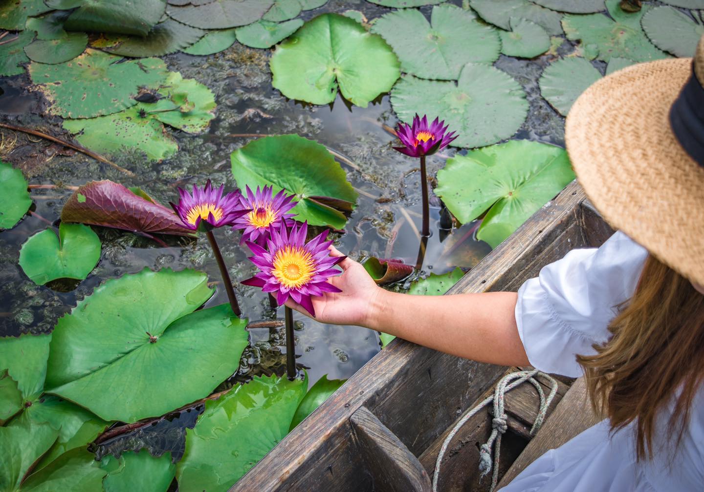 RED LOTUS FLOATING MARKET (レッドロータス水上市場）出発