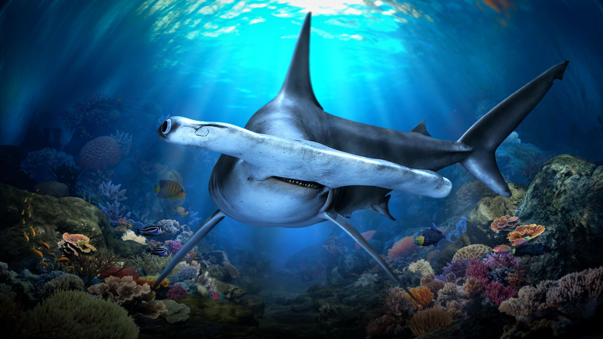 ご自身でオーシャナリウム（旧 シー・アクアリウム） までお越しください