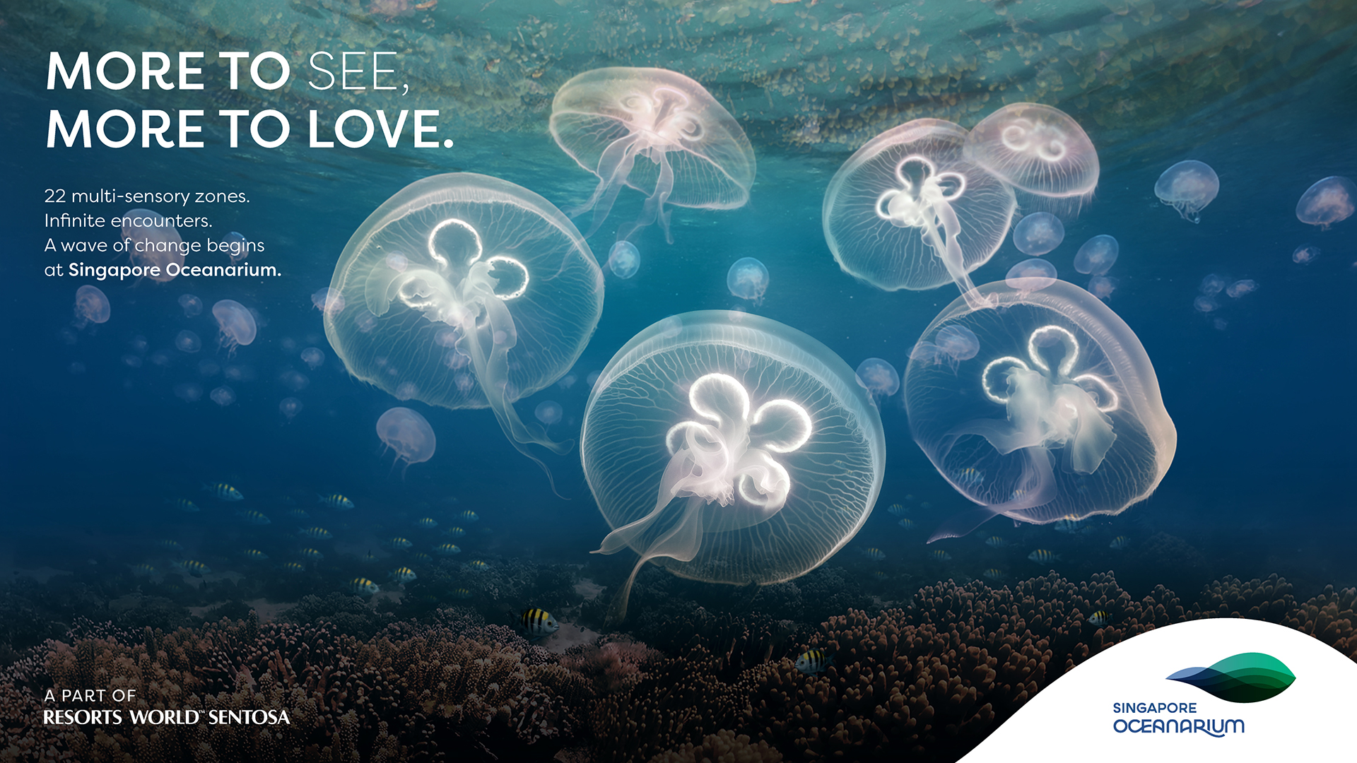 幻想的なクラゲの世界「Ocean Wonders」