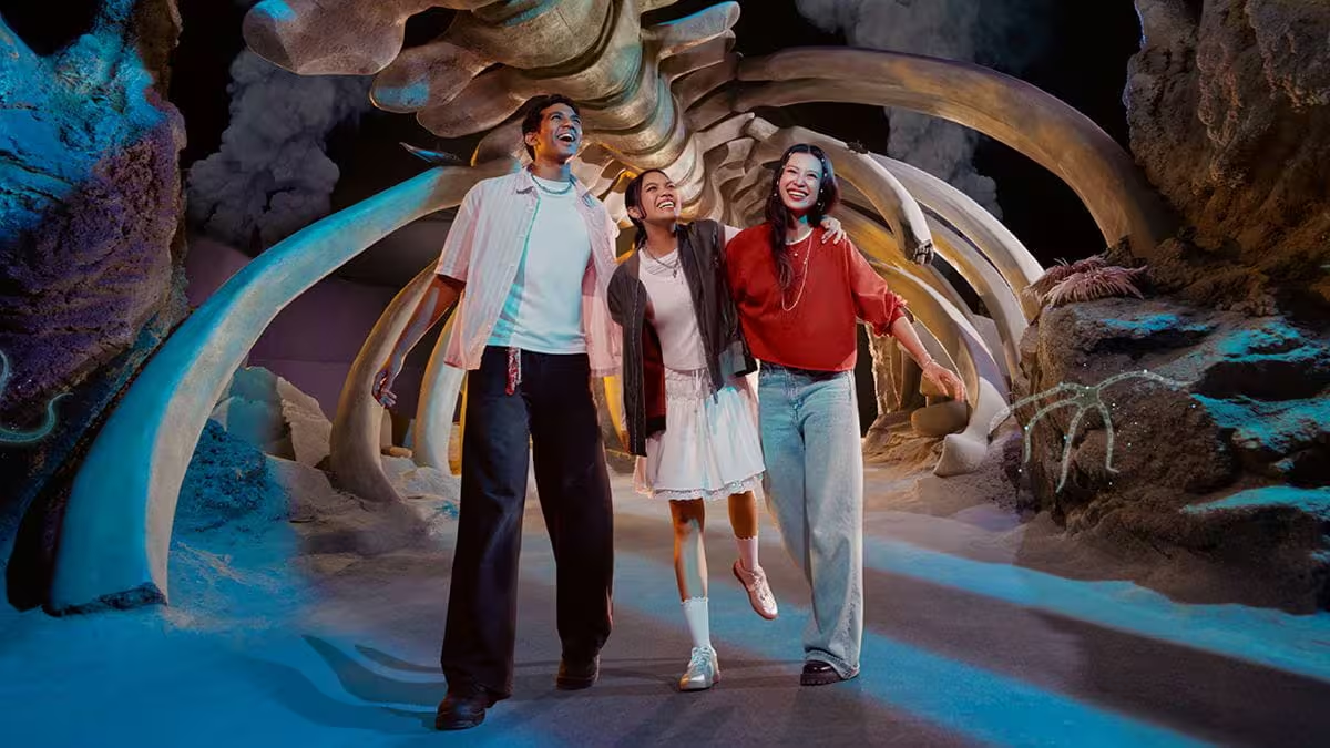 深海の神秘「Whale Fall ＆ Sea Mount」