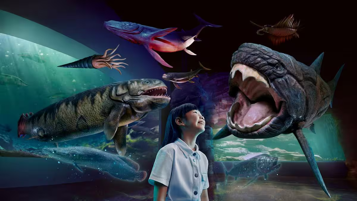 館内をご自由 をお楽しみください