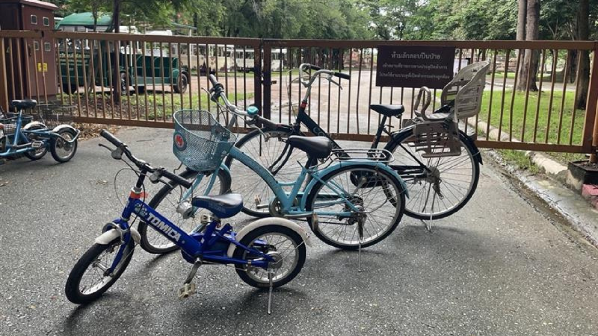 子供用サイズの自転車もご用意しています。