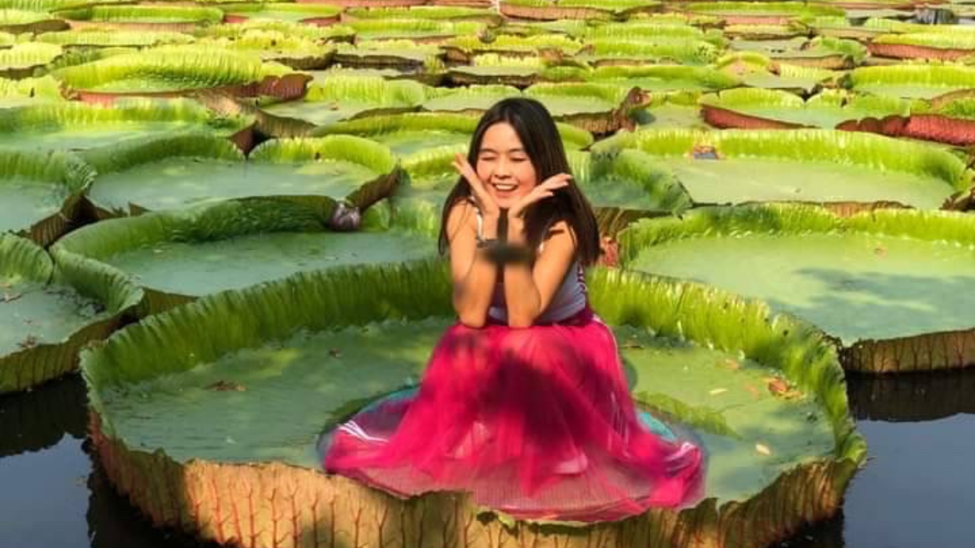 乗れた人は願いが叶う！？知る人ぞ知るビッグロータス観光