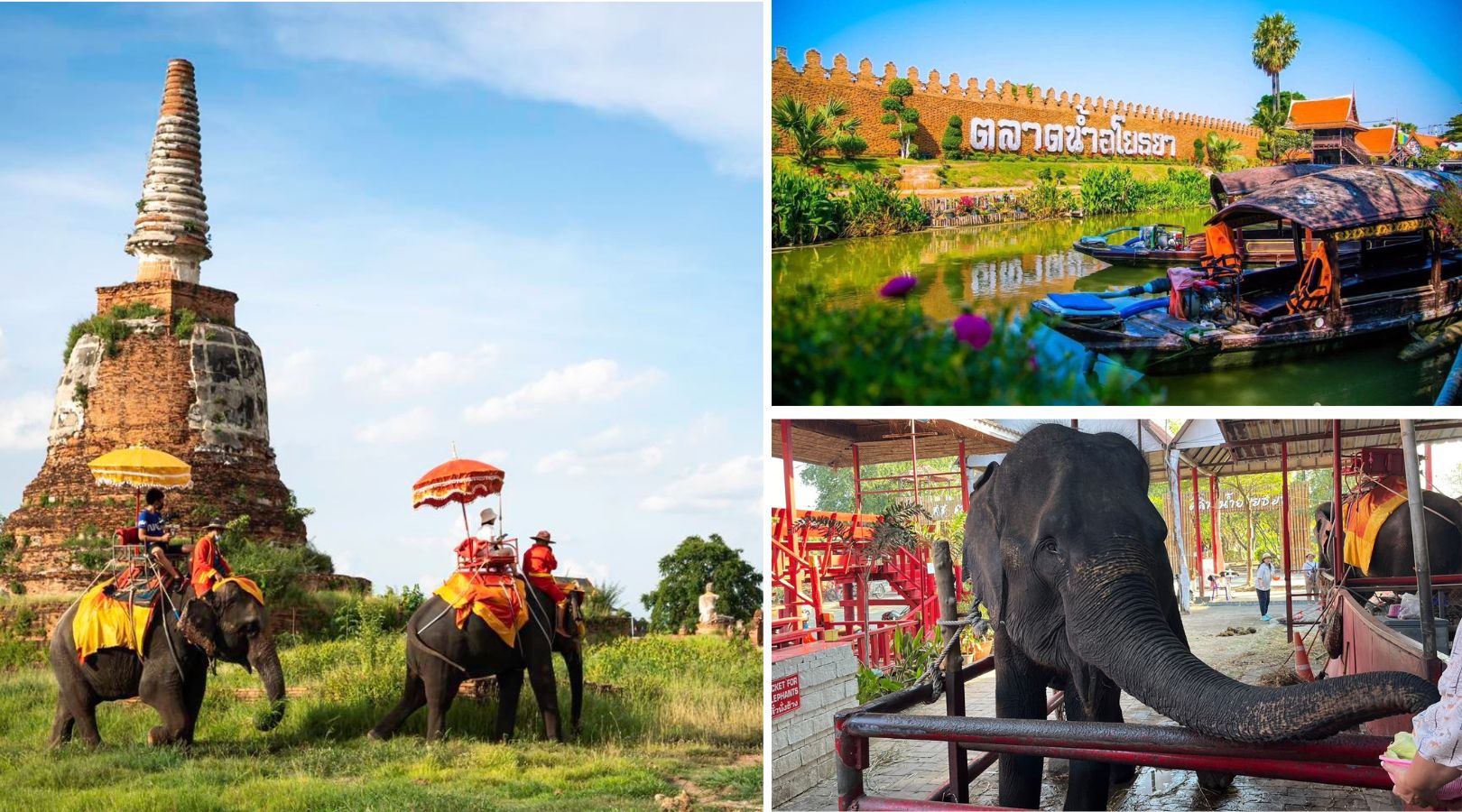 エレファントビレッジにてフリータイム （約30分間）