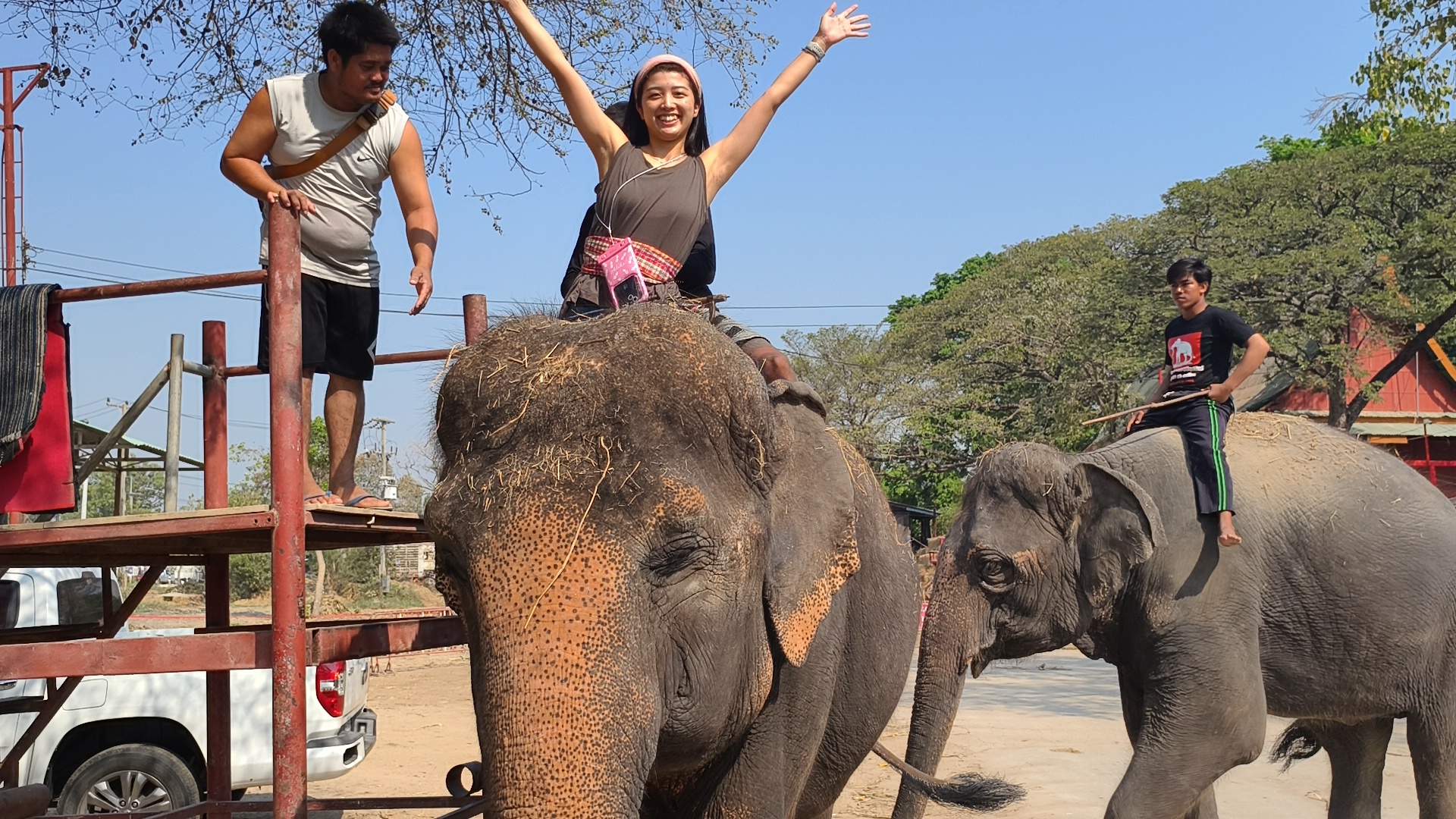 かわいい象さんたちと触れ合おう！アクティビティスタート