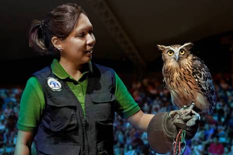 アニマルショー「Creatures of the Night」を鑑賞！