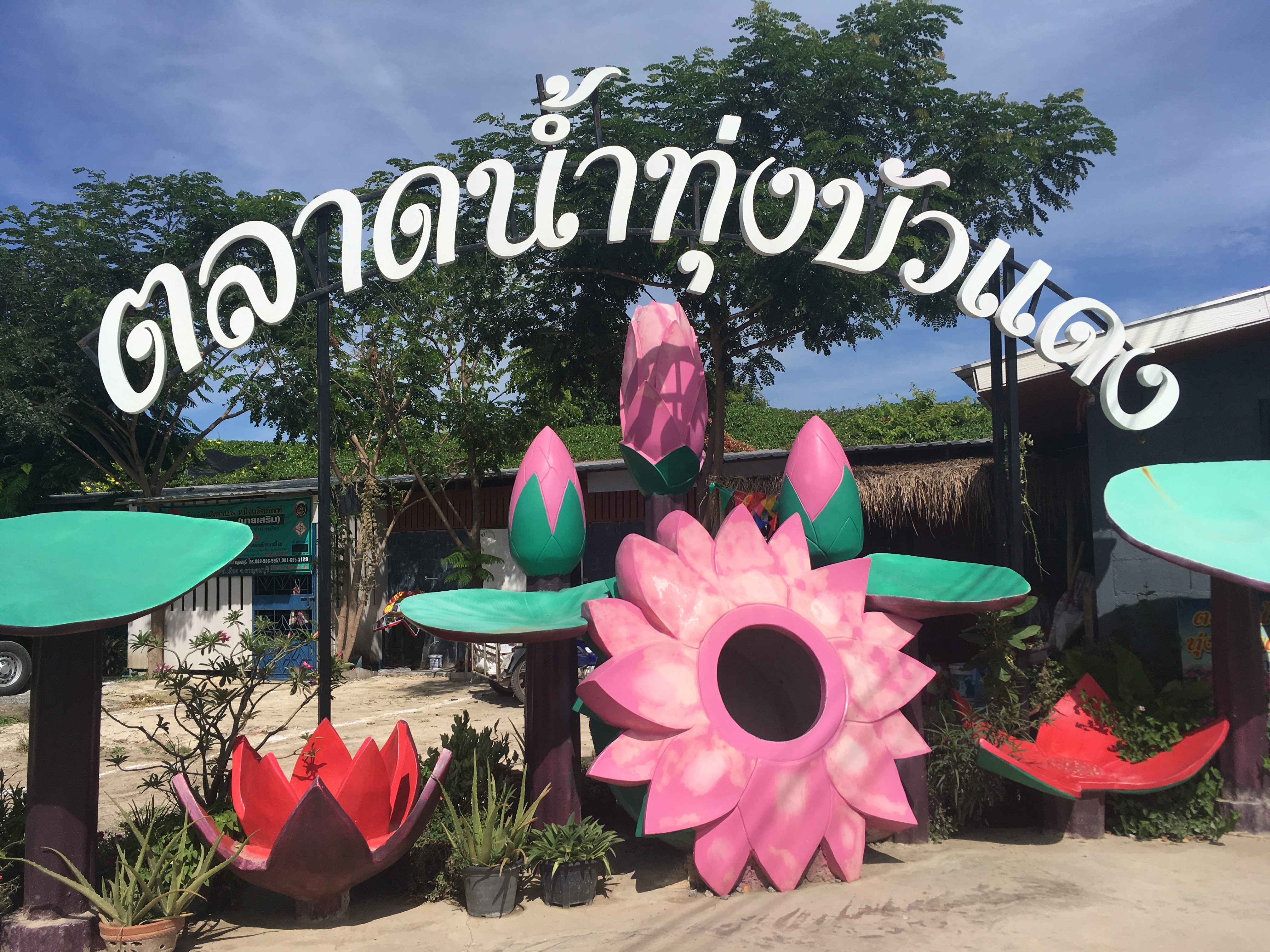 RED LOTUS FLOATING MARKET (レッドロータス水上市場）到着