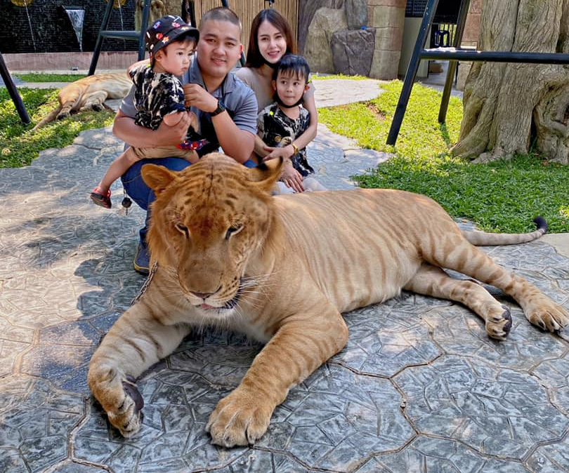 園内では自由行動となります。思い思いにお過ごしください。