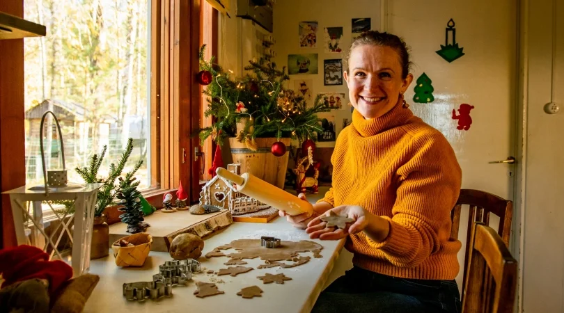 フィンランドオンラインツアー