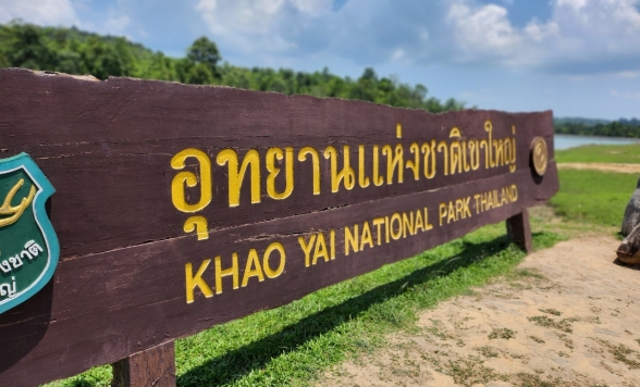 緑豊かな世界自然遺産・カオヤイ国立公園でトレッキング ＆ 本格象乗り体験<日本ガイド/1日/昼食付き>