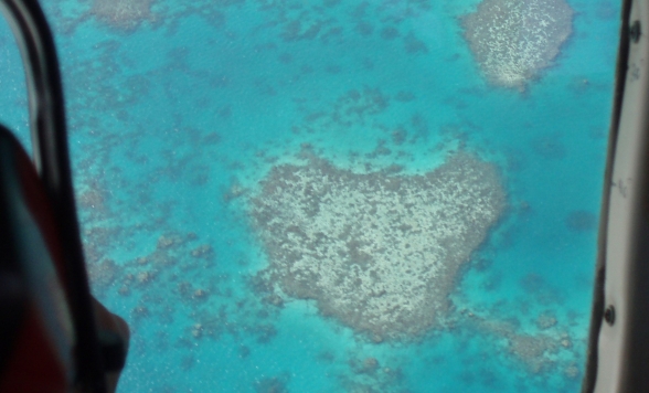 【セスナ遊覧飛行】グレートバリアリーフ・シーニックフライト