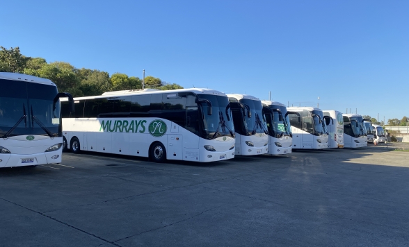 ケアンズ空港～ホテル間送迎 ＜専用車利用│日本語ドライバーガイドがお迎え＞