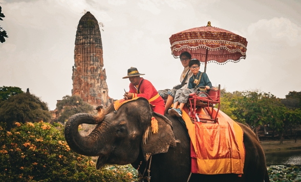【貸切ツアー】～ 大切な旅の思い出を未来に残る一枚に ～  プロカメラマン同行　世界遺産アユタヤ遺跡 + 象乗り体験ツアー