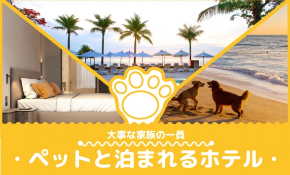 【バンコク近郊】ペットと泊まれる　1泊2日