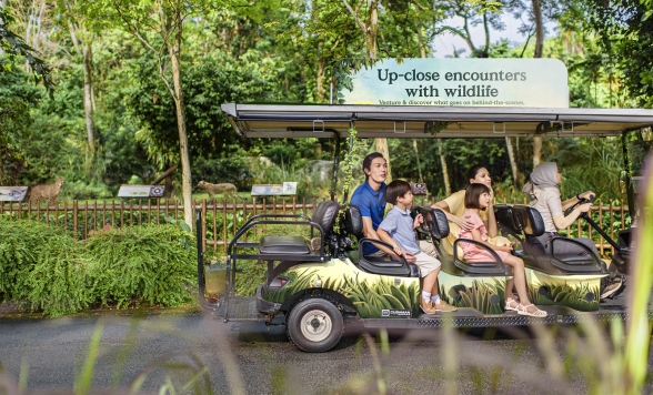 シンガポール おすすめ海外現地オプショナルツアー予約 Pandabus パンダバス シンガポール おすすめ海外現地オプショナルツアー予約 Pandabus パンダバス