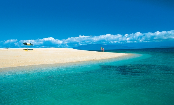 大満喫！フィッツロイ島 クルーズ