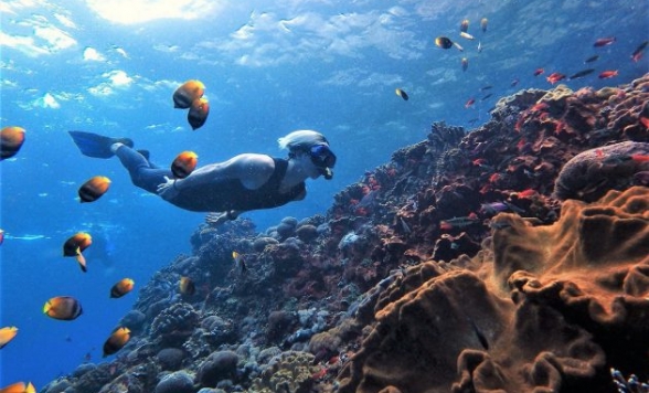 レンボンガン島 & ペニダ島シュノーケリング