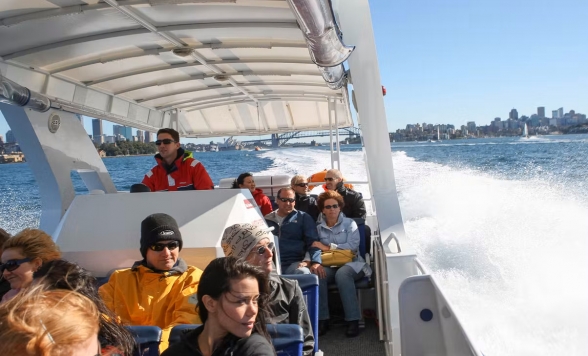 2.5時間 クジラウォッチング アドベンチャークルーズ