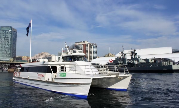 サーキュラーキー発 2時間クジラウォッチング