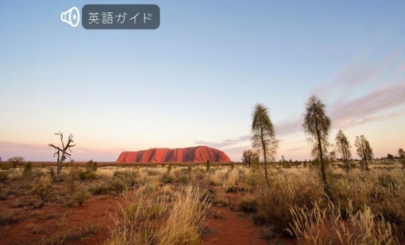 ウルルサンライズとカタジュタ 半日ツアー