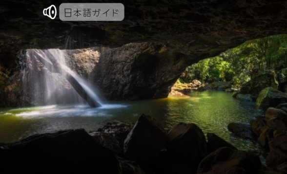 世界遺産スプリングブルック国立公園土ボタル鑑賞ツアー