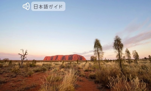 ウルルサンライズとカタジュタツアー