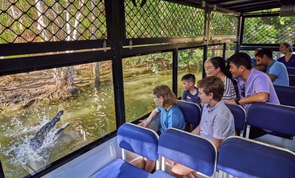 【空港発】ケアンズ観光8時間 ＜専用車利用│日本語ガイドがお迎え＞