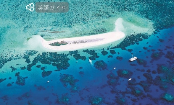 世界遺産ミコマスケイクルーズ