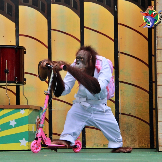 サファリワールド