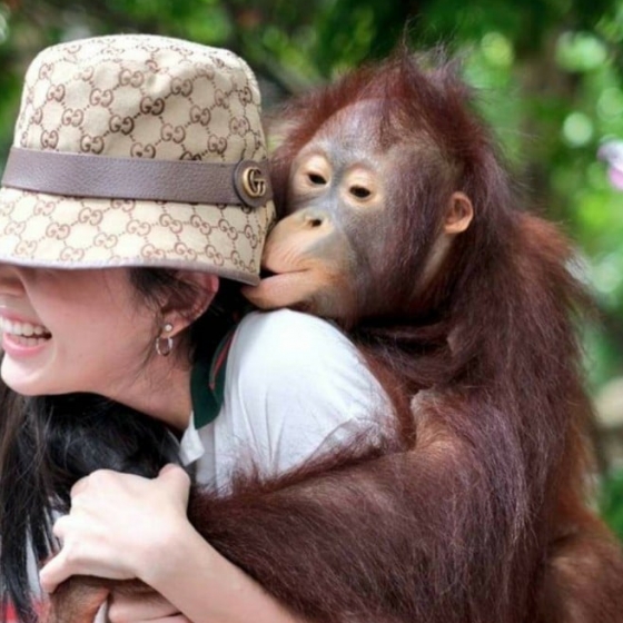 サファリワールド