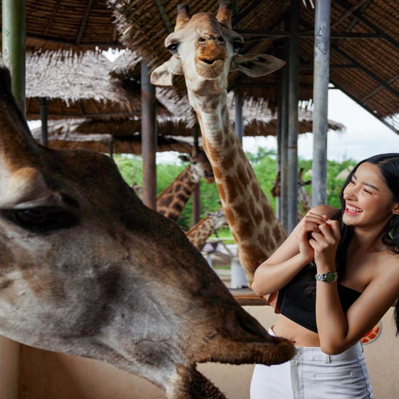 サファリワールド