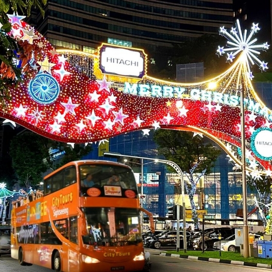 クリスマスライアップツアー