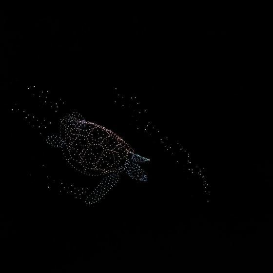 Vijit_Chao_Phraya2025(ヴィジットチャオプラヤー2025)