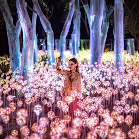 タイ伝統衣装フォト×イルミネーション