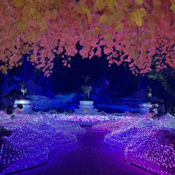 ナサッター公園