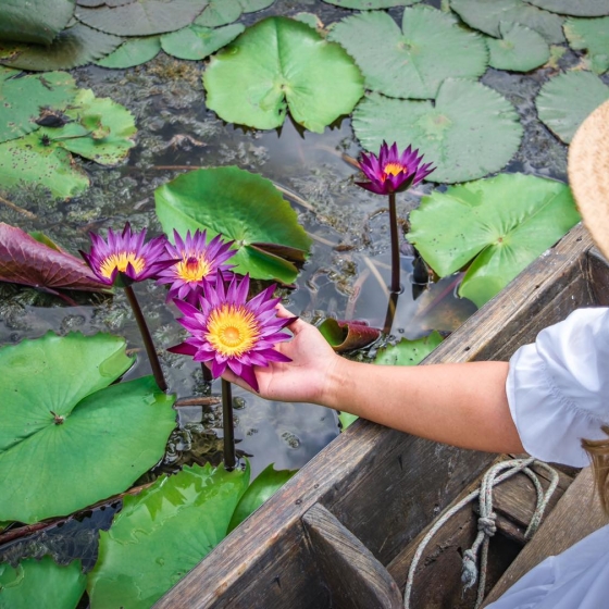 レッドロータス水上マーケット