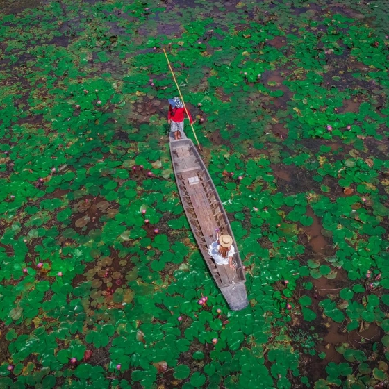 レッドロータス水上マーケット