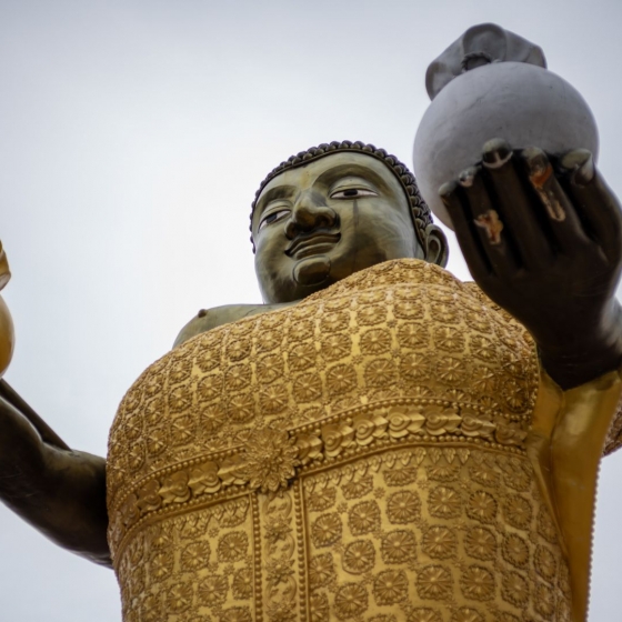 ワットサーカラー