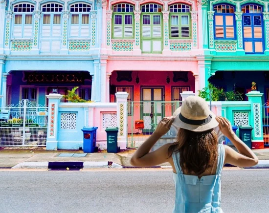 シンガポール市内観光 フォトジェニックツアー～アラブストリート+カトン散策 ～大人気！ナイトサファリ