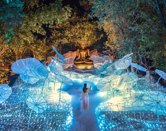 【1月10日催行】ナサッター公園イルミネーション＆世界一高い仏塔ライトアップ＜日本語ガイド／午後発＞