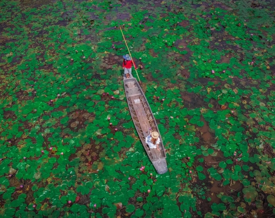 レッドロータス水上マーケットでドローン撮影 + 世界遺産・アユタヤ+象乗り体験付き＜日本語ガイド/昼食付き＞