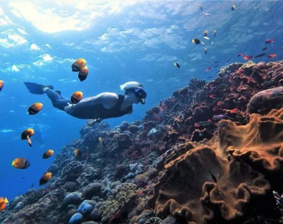 レンボンガン島 & ペニダ島シュノーケリング