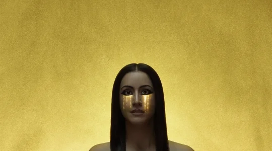 AIDA