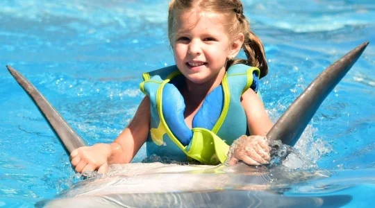 Dolphinarium_in_Pattaya