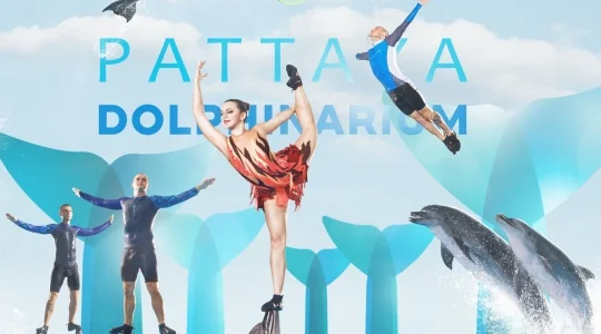 Dolphinarium_in_Pattaya
