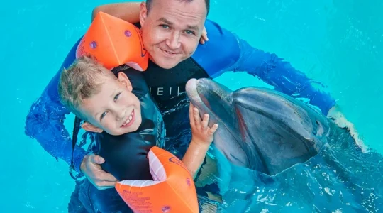 【パタヤ】ドルフィナリウム｜イルカショー（イルカと泳げるプランあり）｜事前チケット予約