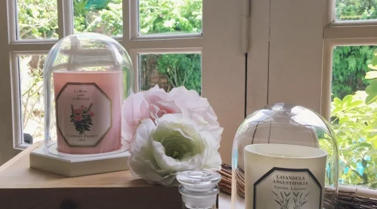 ラ_メゾン_ド_ラポティケア