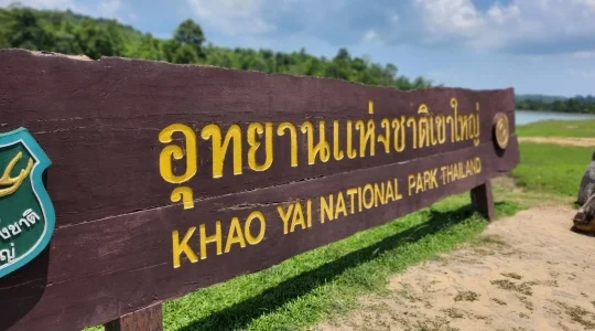 緑豊かな世界自然遺産・カオヤイ国立公園でトレッキング ＆ 本格象乗り体験<日本ガイド/1日/昼食付き>